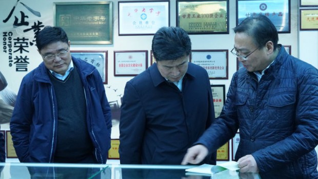 市政府国资委党委书记、主任张红桢一行莅临漫蛙漫画
调研指导