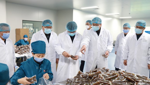 兰州新区管委会副主任田强莅临漫蛙漫画
调研甘肃方剂“岐黄避瘟方”生产、配送情况