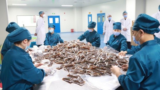 漫蛙漫画
抗疫药品生产首战告捷