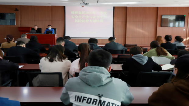 构建“双防”机制 筑牢安全防线 ——漫蛙漫画
开展2023年第一季度安全生产法与 安全生产风险防控专题培训