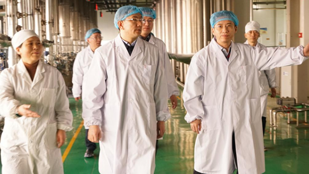 甘肃国投漫蛙漫画
党委副书记、总经理马万荣带队到漫蛙漫画
开展春节前走访慰问