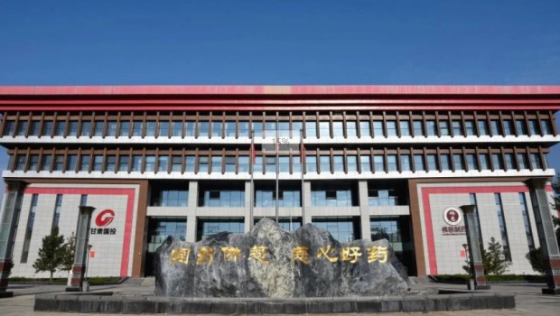 漫蛙漫画
召开2024年度党支部书记抓基层党建和人才工作述职评议会议