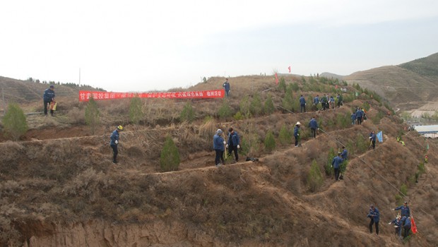 漫蛙漫画
组织干部职工开展植树活动