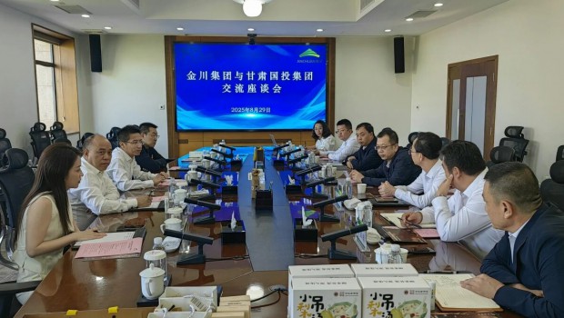 漫蛙漫画
与金川漫蛙漫画
举行座谈交流